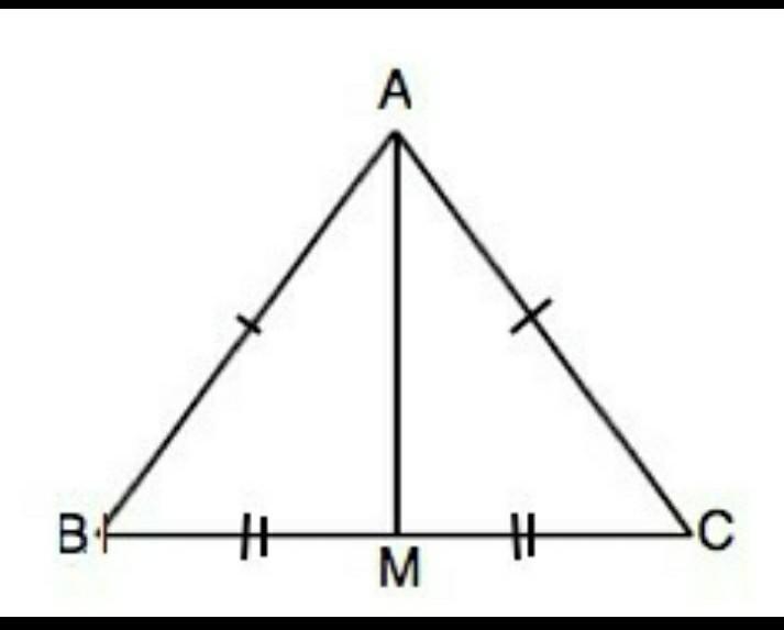 В равностороннем треугольнике авс провели медиану ам. Треугольник ABC С медианой am. Треугольник ABC равнобедренный BC=24 см. Медиана к основанию в равнобедренном треугольнике. Равннобедренный треуголник мидиана.