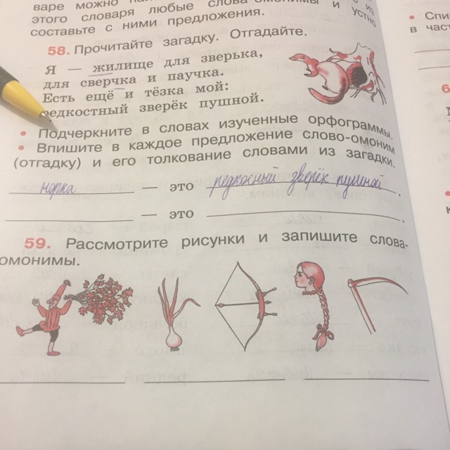 Из русского языка вам известны омонимы расшифруйте записи по приведенным рисункам