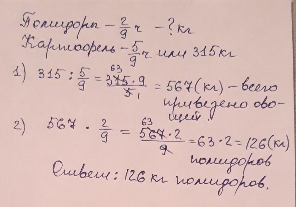 3. В магазин завезли овощи. Две седьмых всех овощей — …