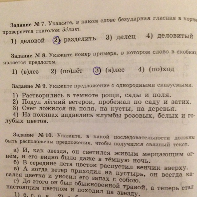 Растворились в темноте рощи сады поля схема предложения