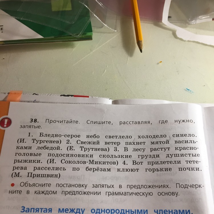 Запишите предложения расставляя запятые. Прочитайте предложения и расставьте запятая. Расставьте где надо запятые.. Прочитайте спишите. Вставьте в предложения где нужно запятые.