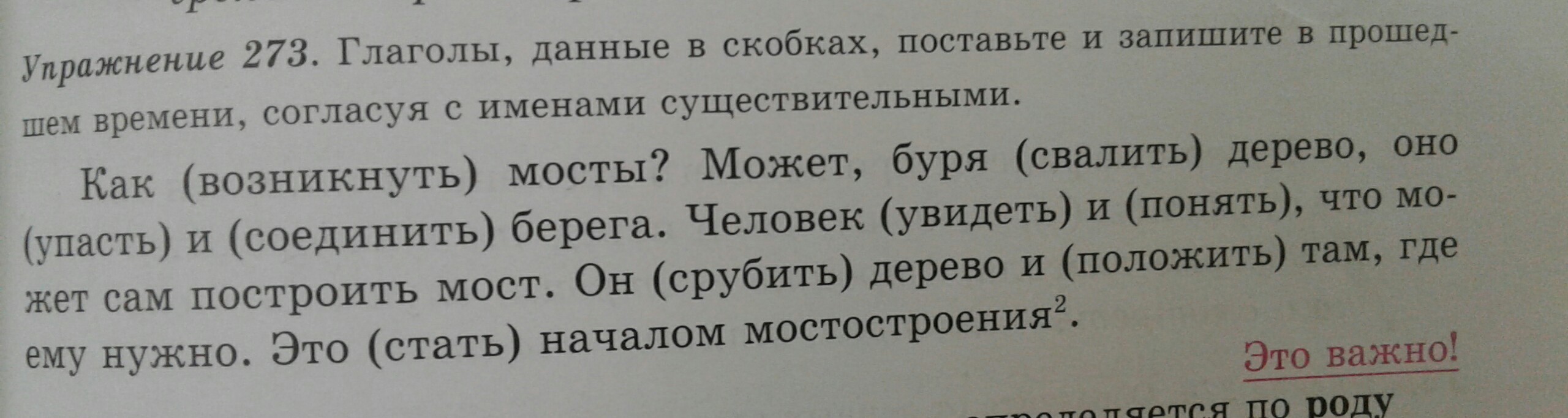 Русский язык 6 упражнение 273. Упражнение поставить глагол в скобках в форму прошедшего времени. Поставь глаголы данные в скобки. Поставьте глаголы данные в скобках в прошедшем времени. Поставьте данные глаголы.