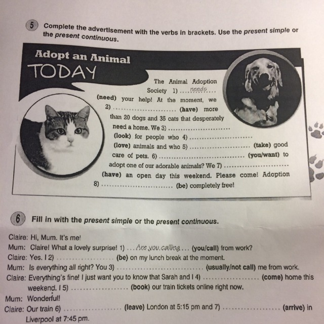 Complete the names of the animals. Complete the names of the animals 5 класс ответы. 5. Complete the advertisement with the verbs in Brackets. The animal adoption Society. Complete the names of the animals 5 класс стр 74 ответы. Animals "complete".