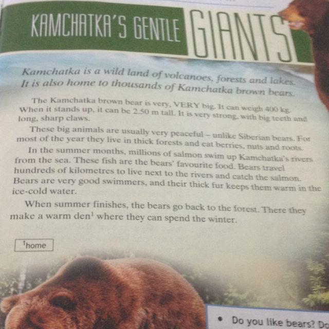 Мишка перевести на английский. Английский язык 5 класс Kamchatka's gentle. Перевод the Kamchatka Brown Bear is. Kamchatka's gentle giants краткий пересказ. Камчатский бурый медведь английский язык 5 класс.