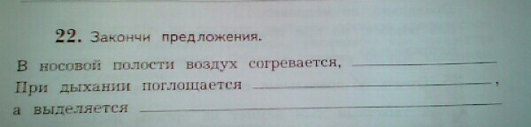 Dear mouse закончи предложение. Закончи предложения в носовой полости воздух согревается. Закончи предложение при дыхании поглощается. Закончил предложение при дыхание поглощается. При дыхании поглощается закончи предложение 4 класс.