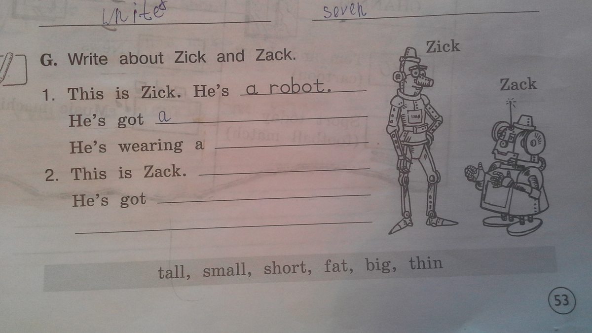 A bear has got thin body. Write about Zick and Zack. Write about Zick and Zack английский 3 класс. Перевод write about Zick and Zack. Write about.