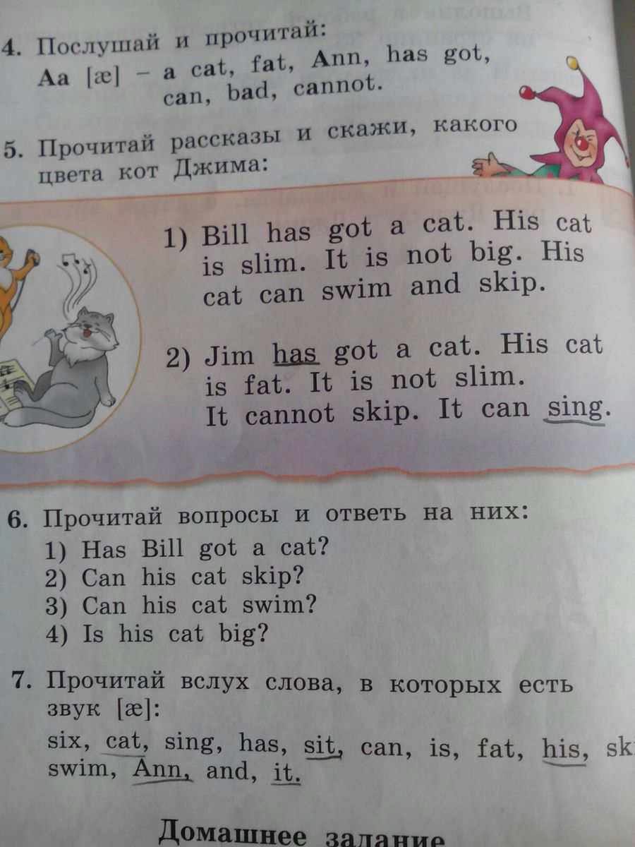 Tim has got a cat перевод