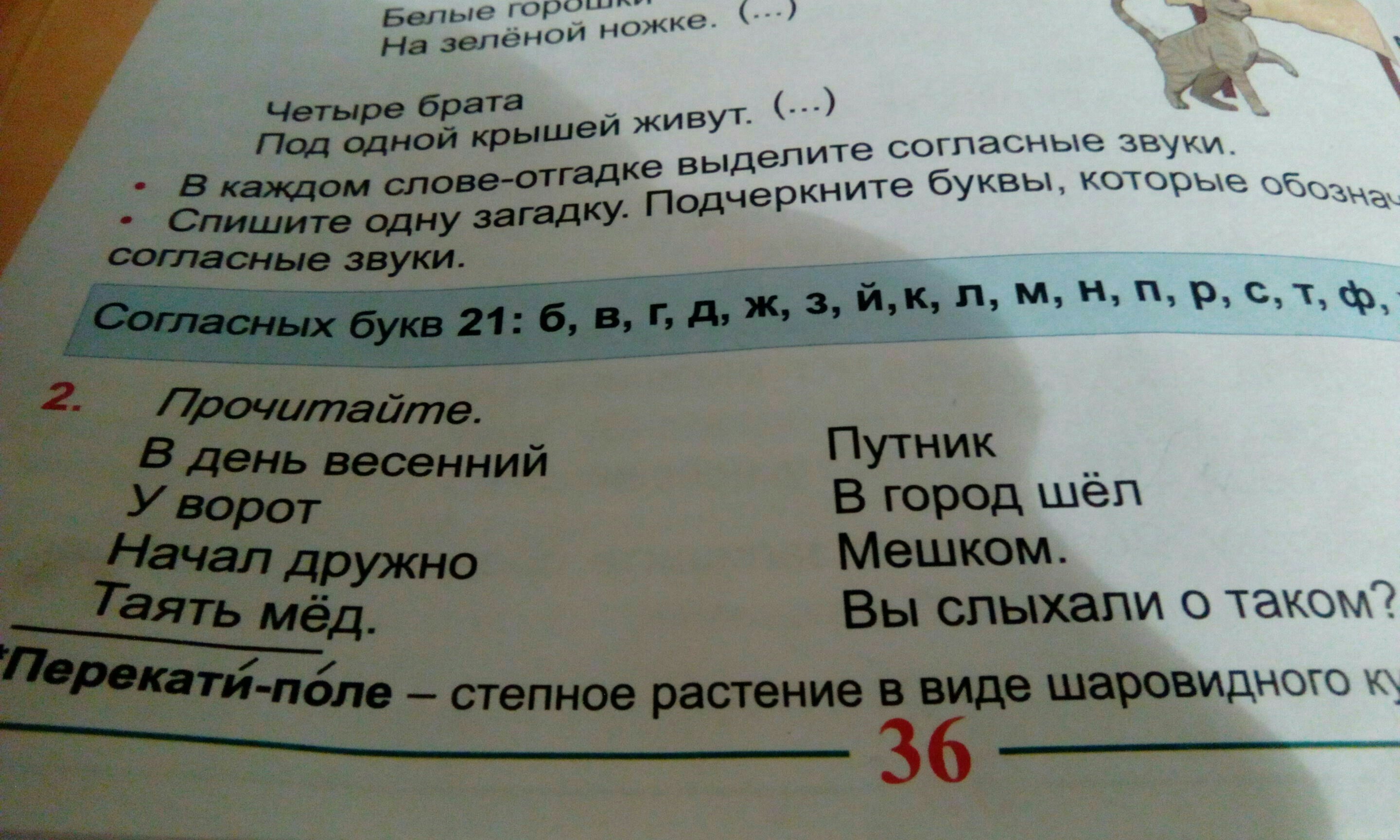 Прочитайте и найдите ошибки. Прочитай и Найди и исправь. Прочитай и Найди ошибку. Прочитай Найди и исправь ошибки. Найдите и прочитайте первую подсказку.