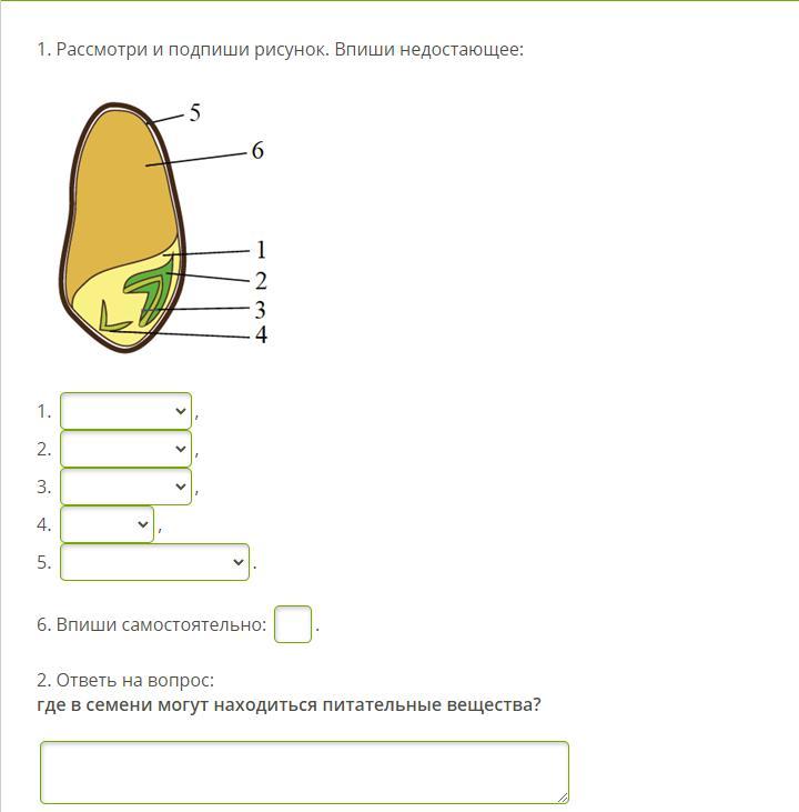 Подпишите рисунок 1 2 3