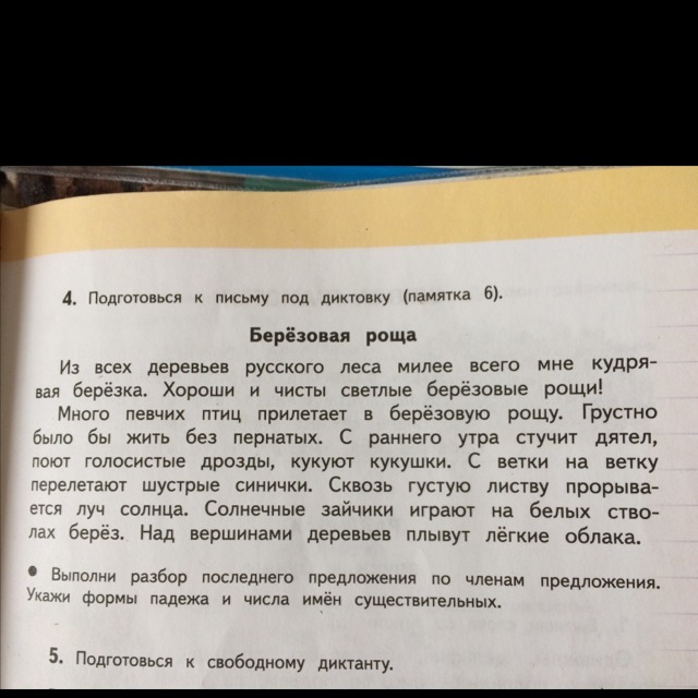 Рощами текст. Подготовится к письму под диктовку. Диктант в роще. Подготовься к письму под диктовку. Диктант Березовая роща 4 класс.