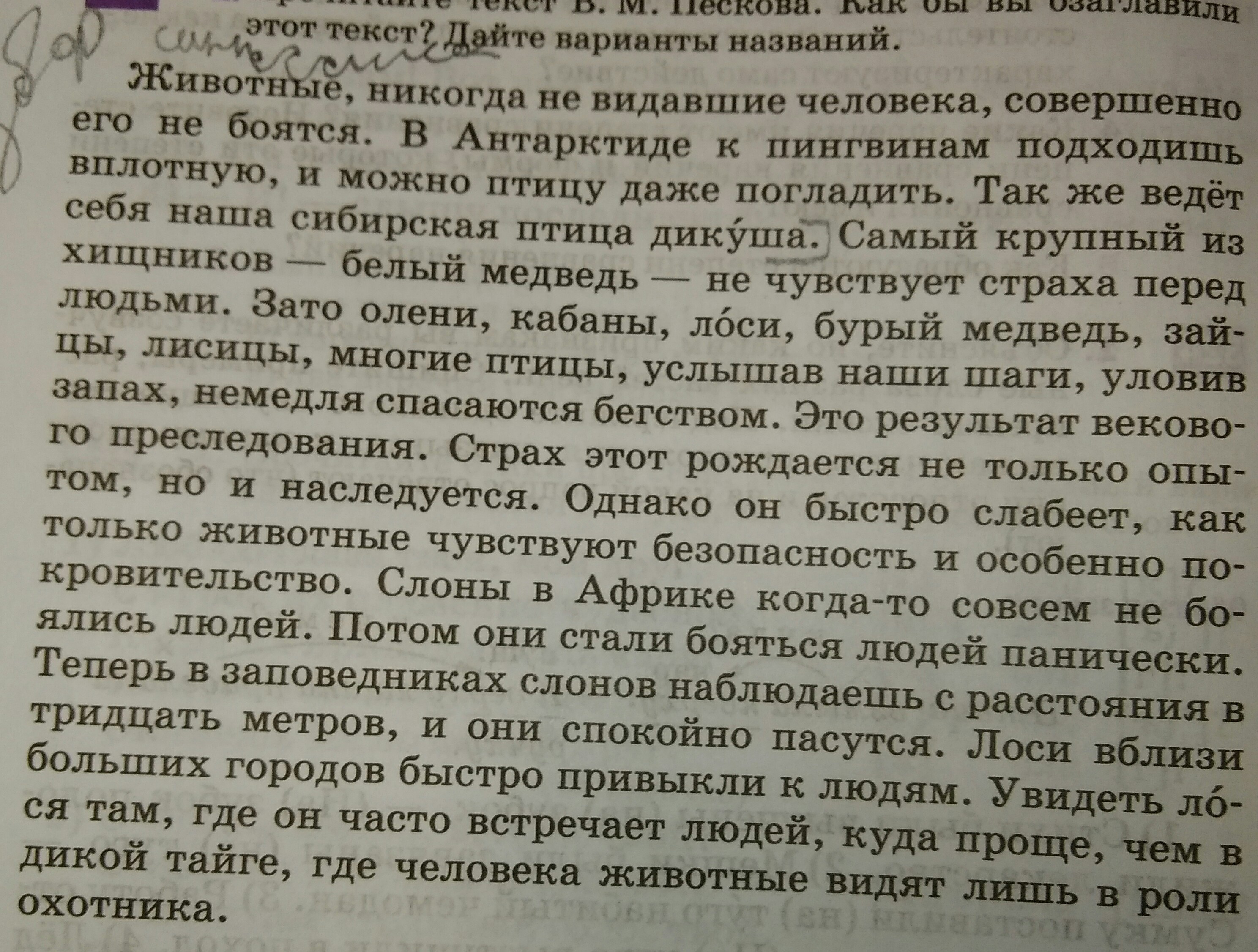 Этот текст. Ответы этого текста. Ответы к этому тексту. Ответы на этот текст.