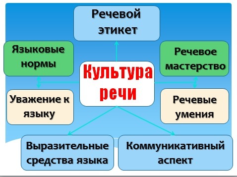 Русский язык и культура речи в схемах и таблицах