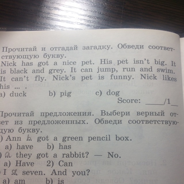 Прочитайте текст выбери верные ответы. Прочитай и отгадай загадку обведи соответствующую букву. Прочитай и обведи правильный ответ. Выбери и обведи соответствующую букву.. Обведи правильный ответ has.