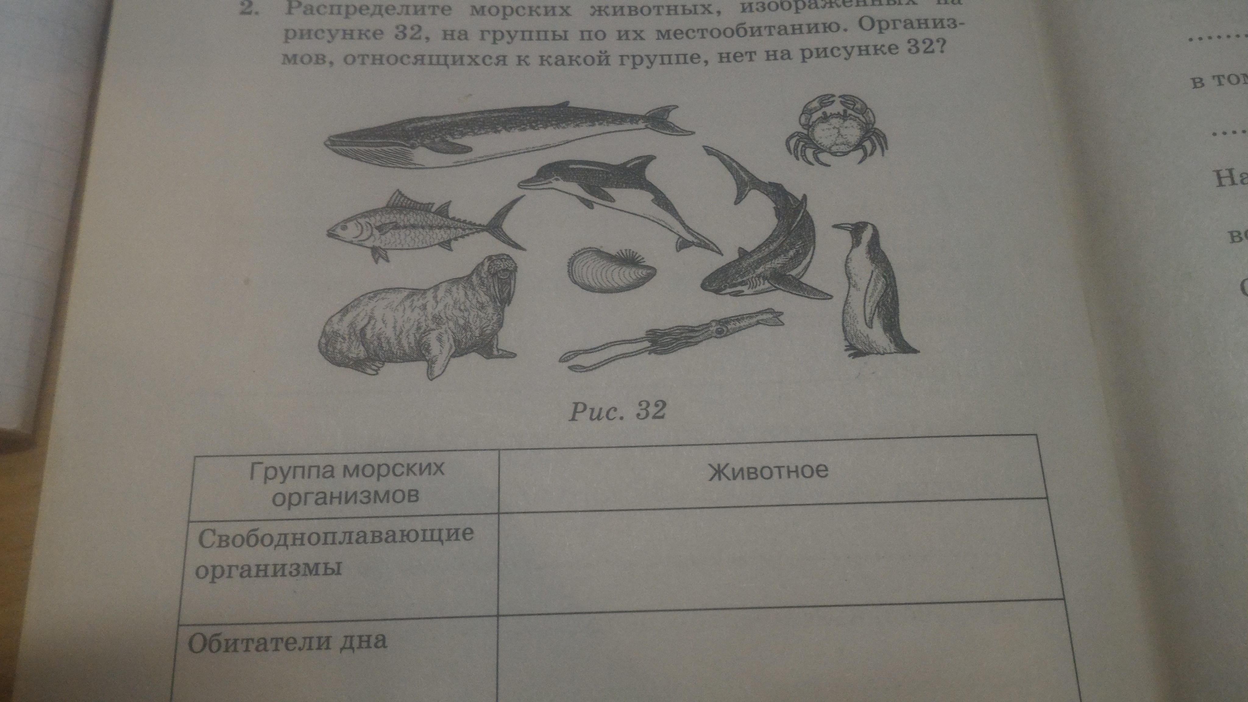 Распределите животных в 3 группы рисунок на с 90 ч 2 учебника