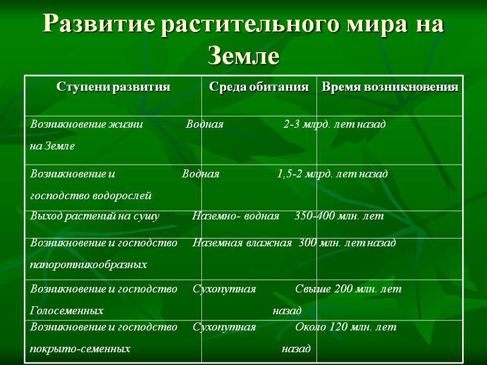 Схема развития растительного мира земли