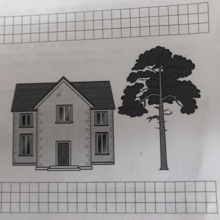 На рисунке изображены дом и дерево
