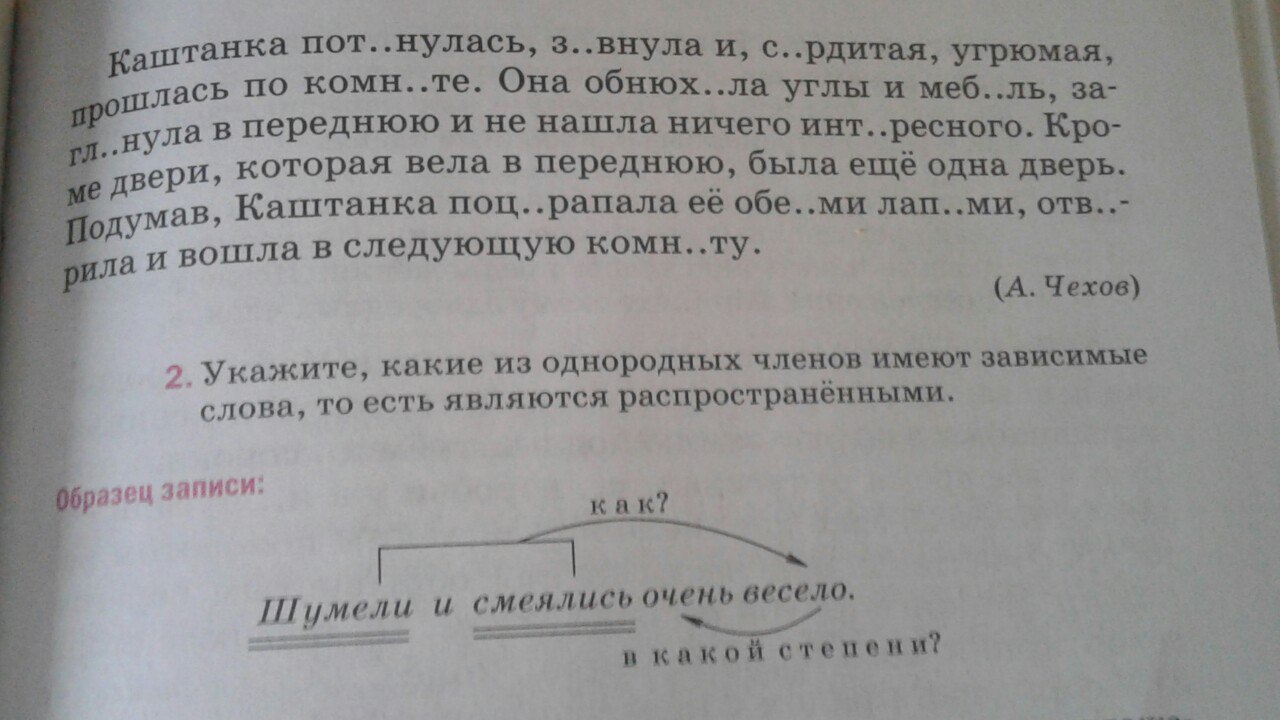 Каштанка потянулась зевнула и сердитая угрюмая прошлась по комнате