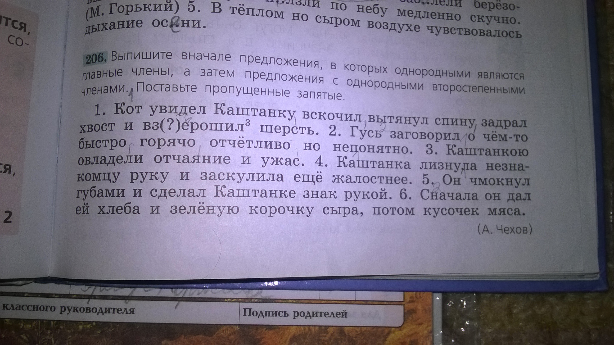 Каштанкою овладели отчаяние и ужас грамматическая основа