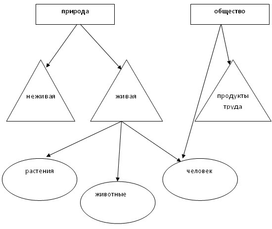 Схема система природоведческих понятий собирательные и единичные понятия