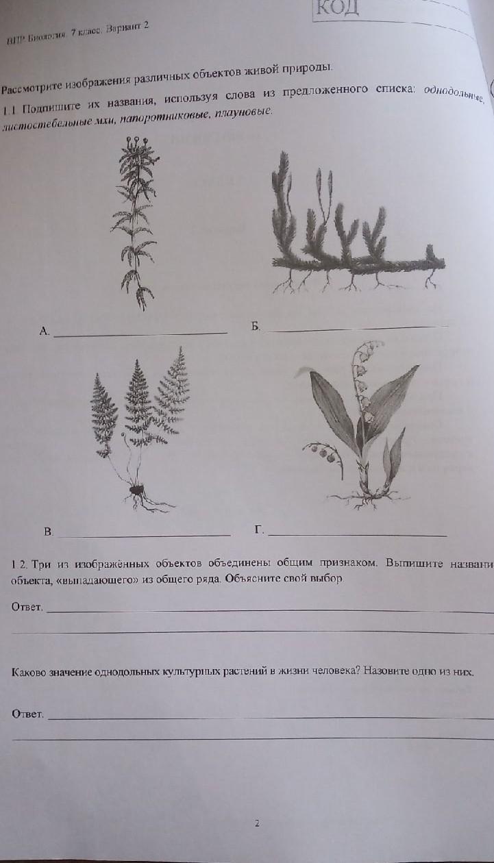 Три изображенных. Подпиши названия изображенных объектов. Рассмотрите изображение. Рассмотрите изображения объектов живой природы. Рассмотрите рисунок различных объектов живой природы.