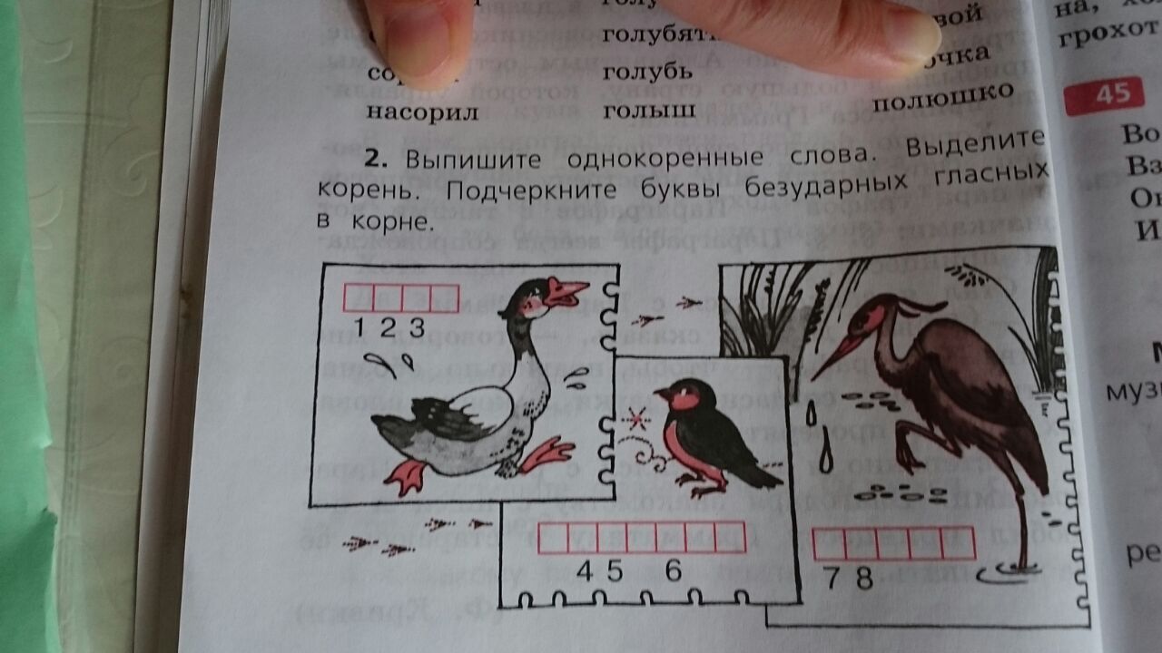 Составь слова из букв игра. Составь слова из букв 1 класс. Птицы с буквами жи.