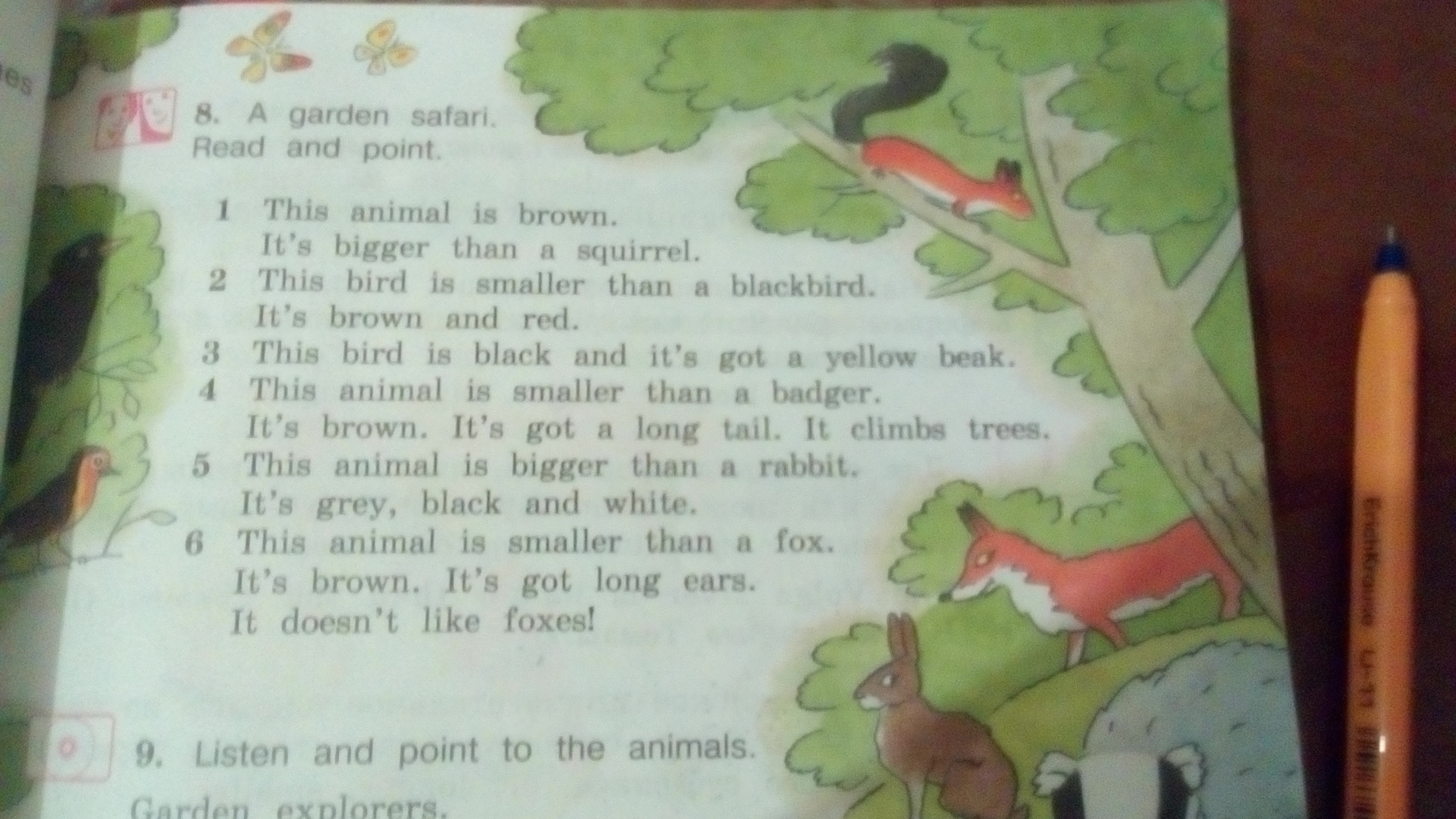 This birds перевод. A Garden Safari read and point. Read and point перевод. A Garden Safari read and point ответы. Which animal is bigger 4 класс английский язык a Squirrel a Robin.