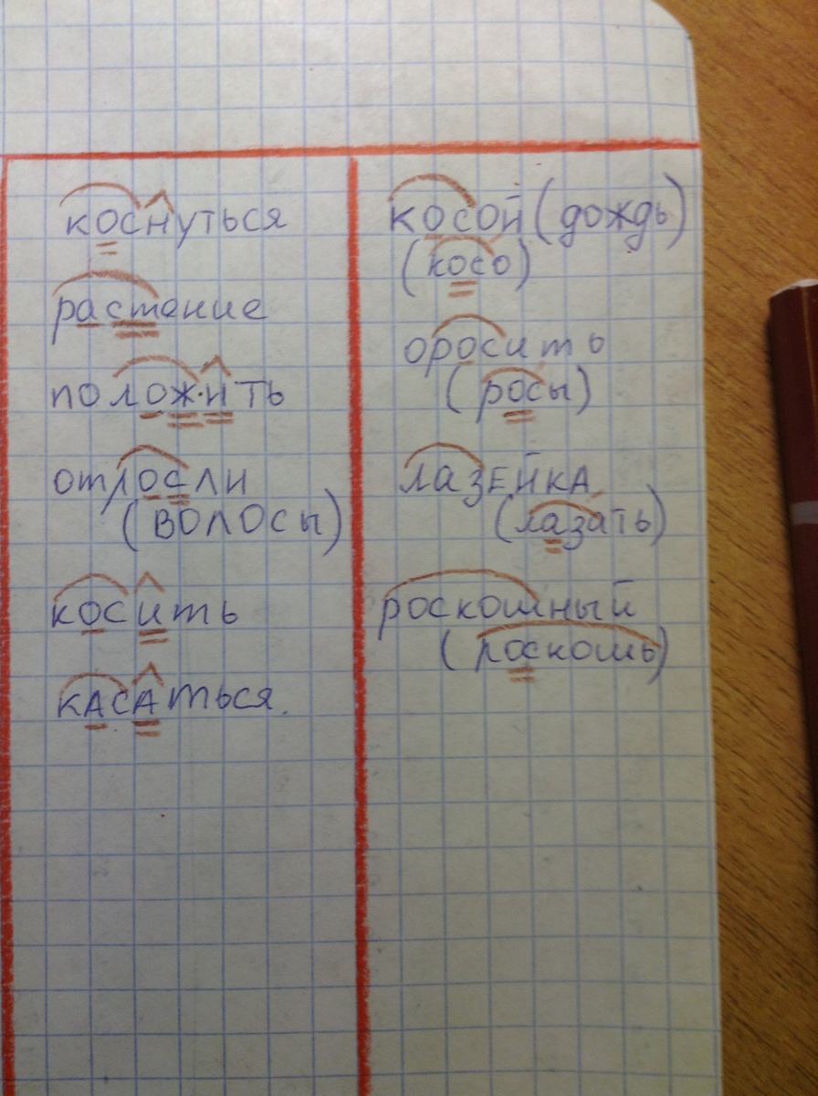 Косой дождь коснуться растение. Тетрадь корень. В левый столбик. Столбик в тетради. Тетрадь тетрадка корень.