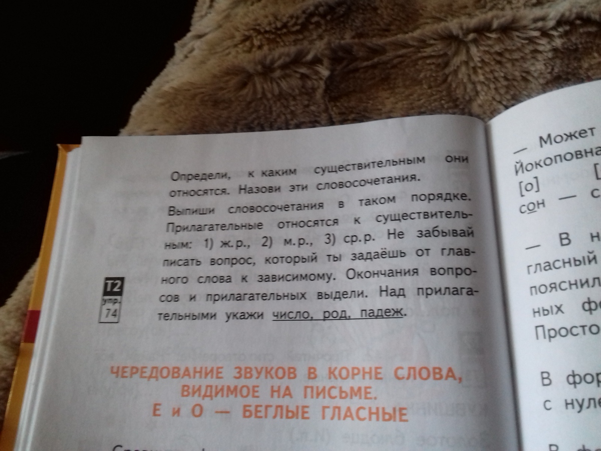 Прочитай стихотворение найди слова. Золотое блюдце в голубой реке а на блюдце Пчелка с медом в хоботке. Загадку золотое блюдце в голубой реке. Прочитай стихотворение Найди все прилагательные кувшинка 142. Как-то в блюдечке варенья я нашел стихотворение.