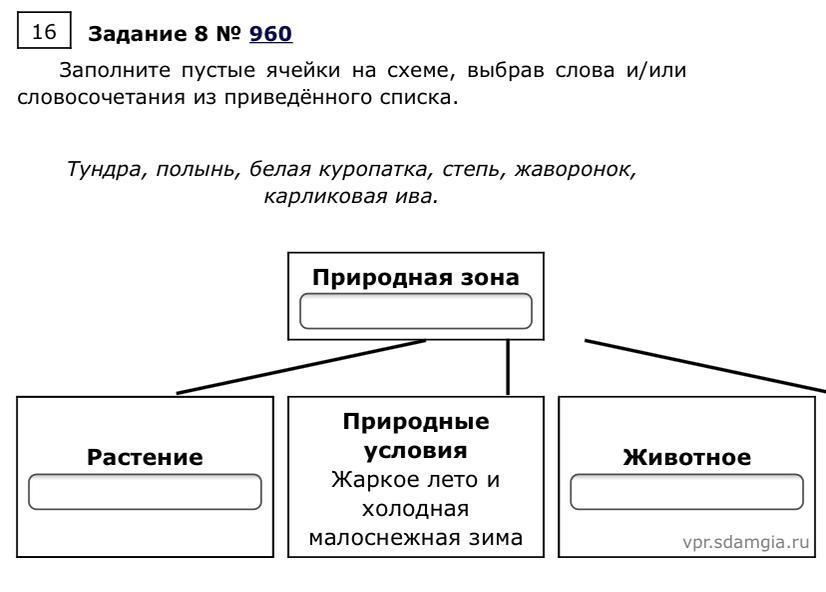 Заполните пустые ячейки на схеме выбрав необходимые слова из приведенного списка степь сосна лемминг