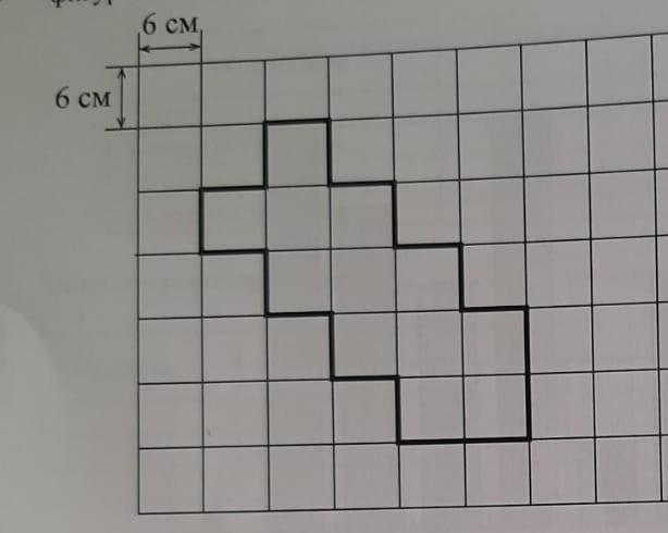На рисунке дано поле расчерченное на прямоугольники со сторонами 2 и 5 см