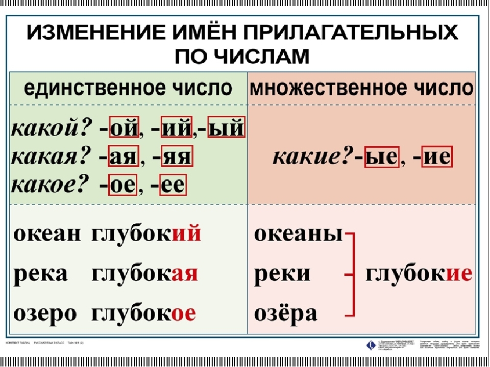 Карточки по русскому языку число имен прилагательных