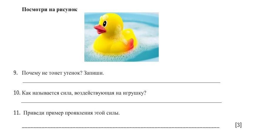 Запиши 10. Как назвать утёнка. Почему утка не тонет. Утка и утенок однокоренные слова. Почему утку назвали уткой для детей.