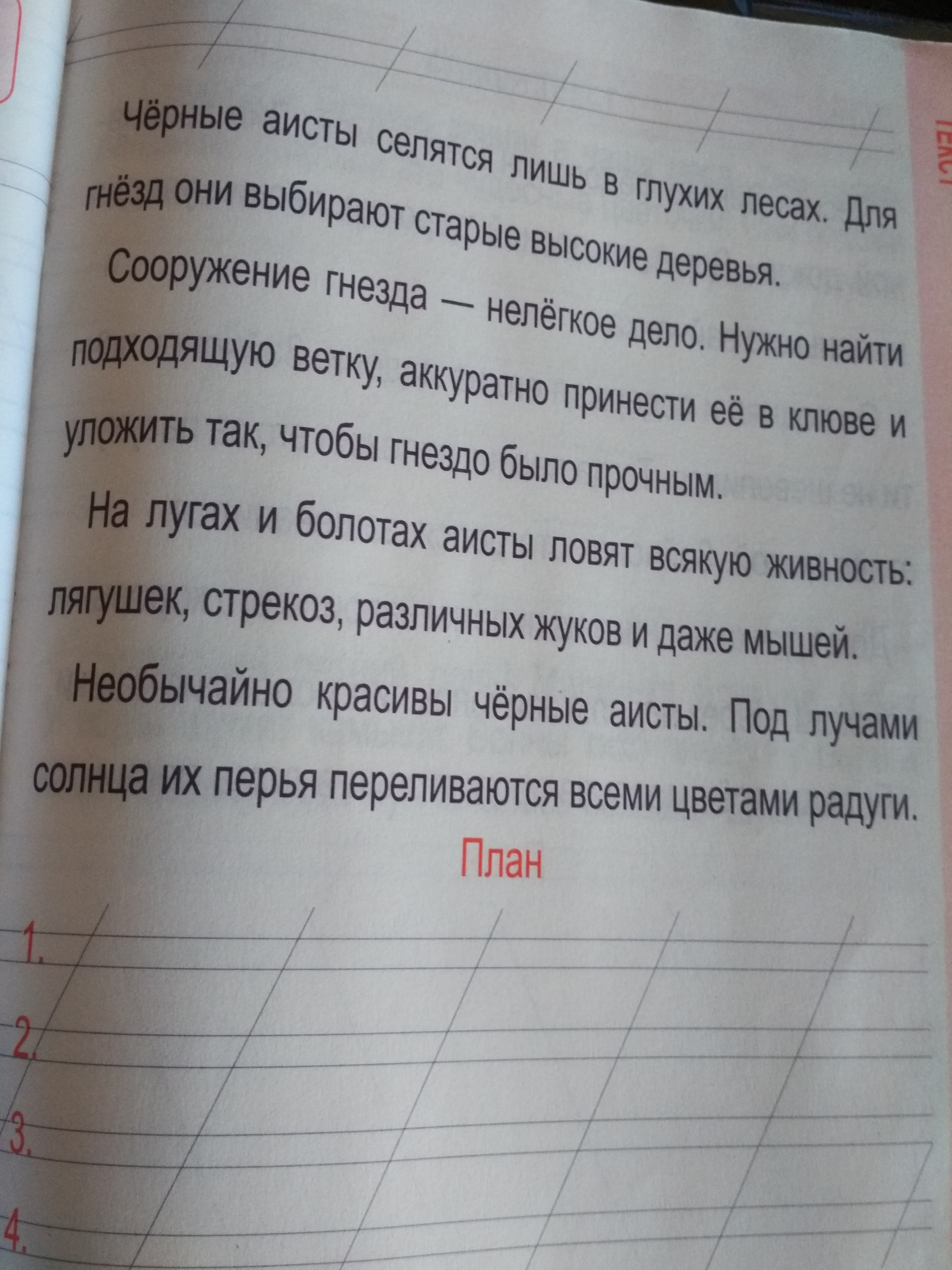 Прочитай текст придумай заголовок составь план определи тип текста у веры был бельчонок рыжик