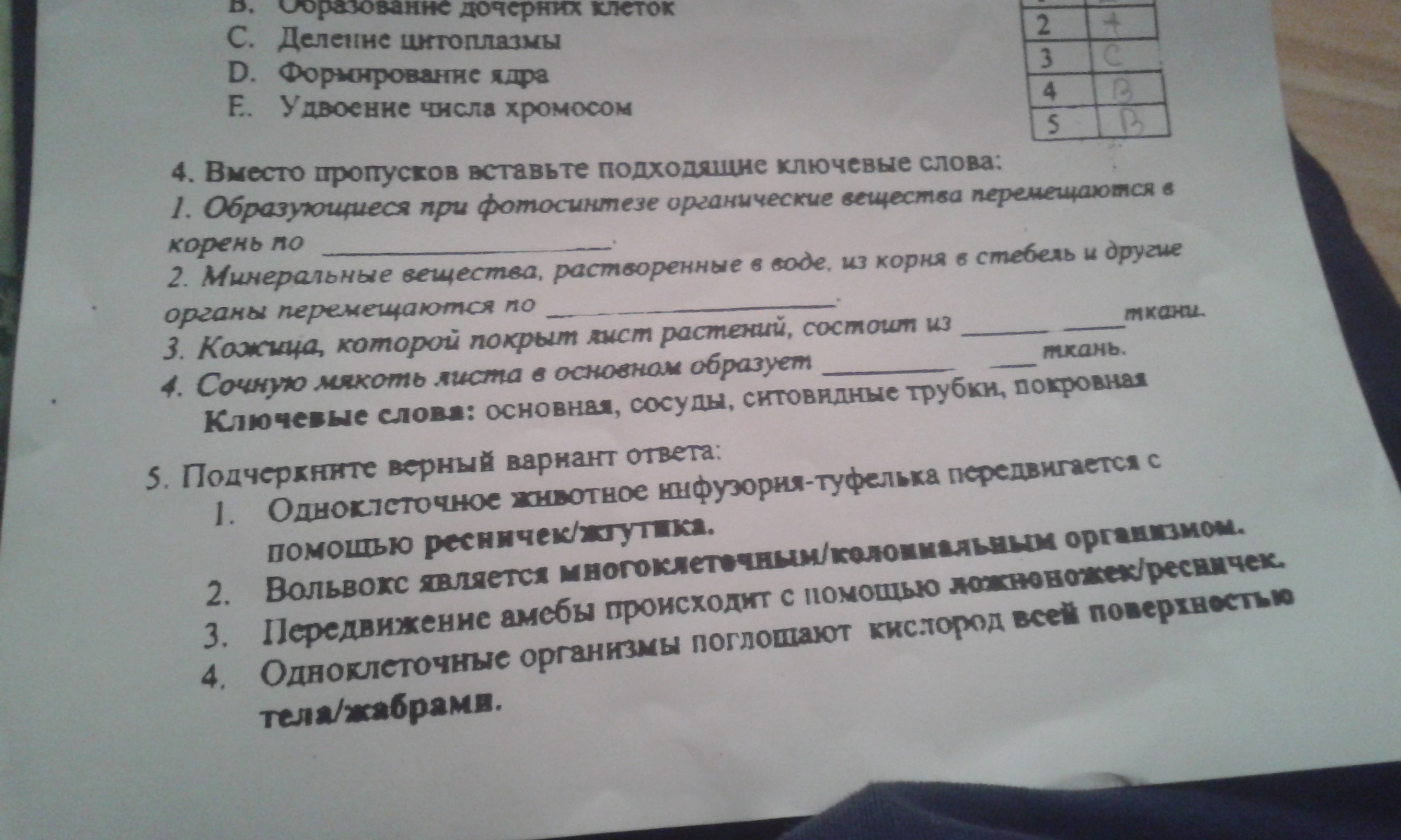 Тест 18 биология 7 класс. Билеты по биологии 5 класс с ответами.