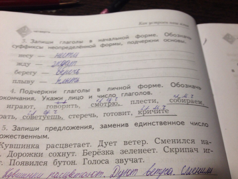 Прочитайте и обозначить форму. Подчеркни глаголы. Подчеркни глаголы в личной форме. Запиши предложения заменив множественное число единственное. Подчеркните глаголы определите их форму.