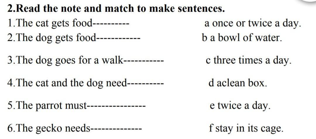 Match to make questions. Make sentences.