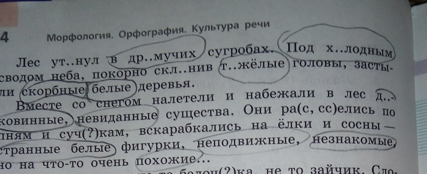 Пост пр. Пост.пр прилагательных. Пост пр прилагательного 6 класс. Разбор морфологический разбор выделенных. Прилагательное пост пр.