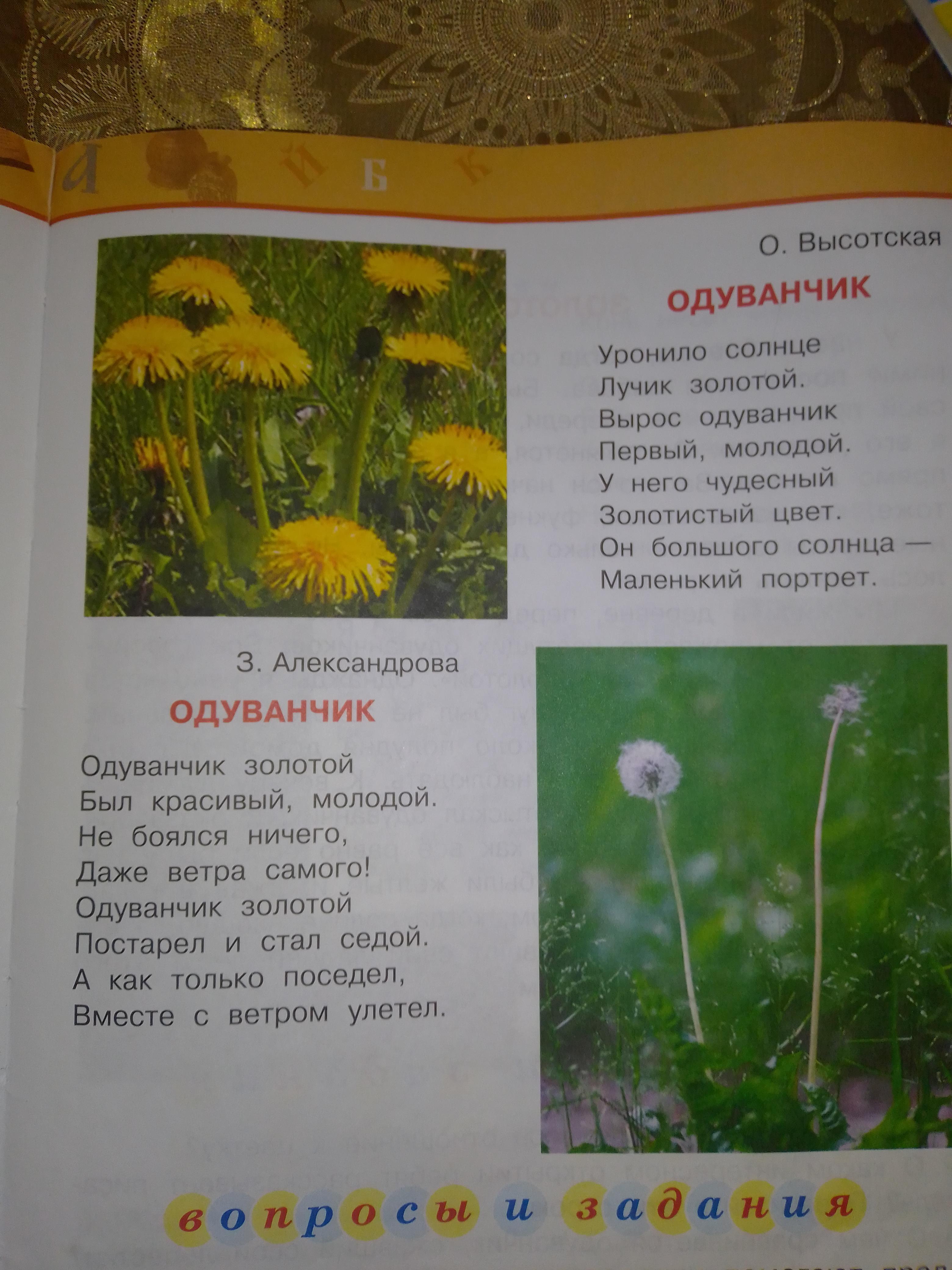 Слова песни про одуванчики. Стих одуванчик золотой. Стихотворение носит одуванчик желтый сарафанчик. Стихотворение про одуванчик уронило солнце лучик золотой. Одуванчик золотой был красивый.