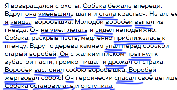 Воробей разбор. Молодой Воробей выпал из гнезда разбор предложения. Я возвращается с охоты . Собака бежала впереди вдруг. Текст Возвращение с охоты. Он не умел летать и сидел неподвижно разбор предложения.