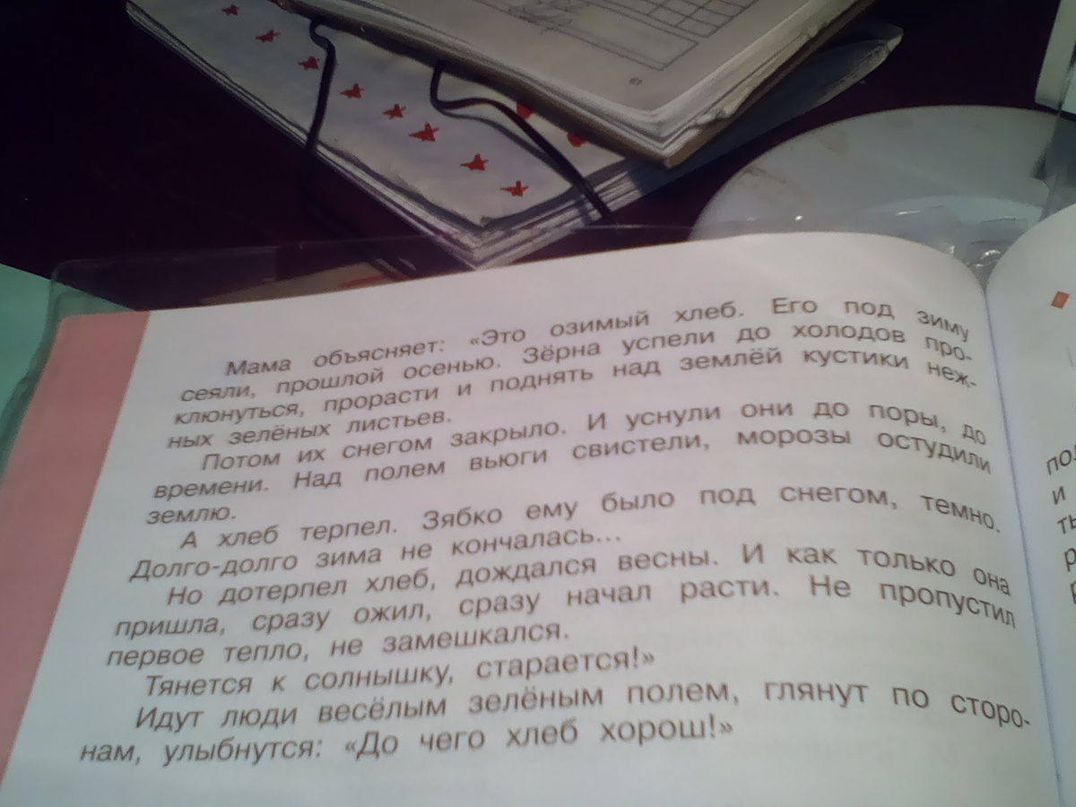 Дополни данную. Дополни данный текст ещё одним абзацем хлеб растёт 4. Дополни данный текст ещё одним абзацем. Поду-. Ответ на вопрос дополни данный текст еще одним абзацем хлеб растёт. Дополний тексхлеб растет еше одним абзацем.