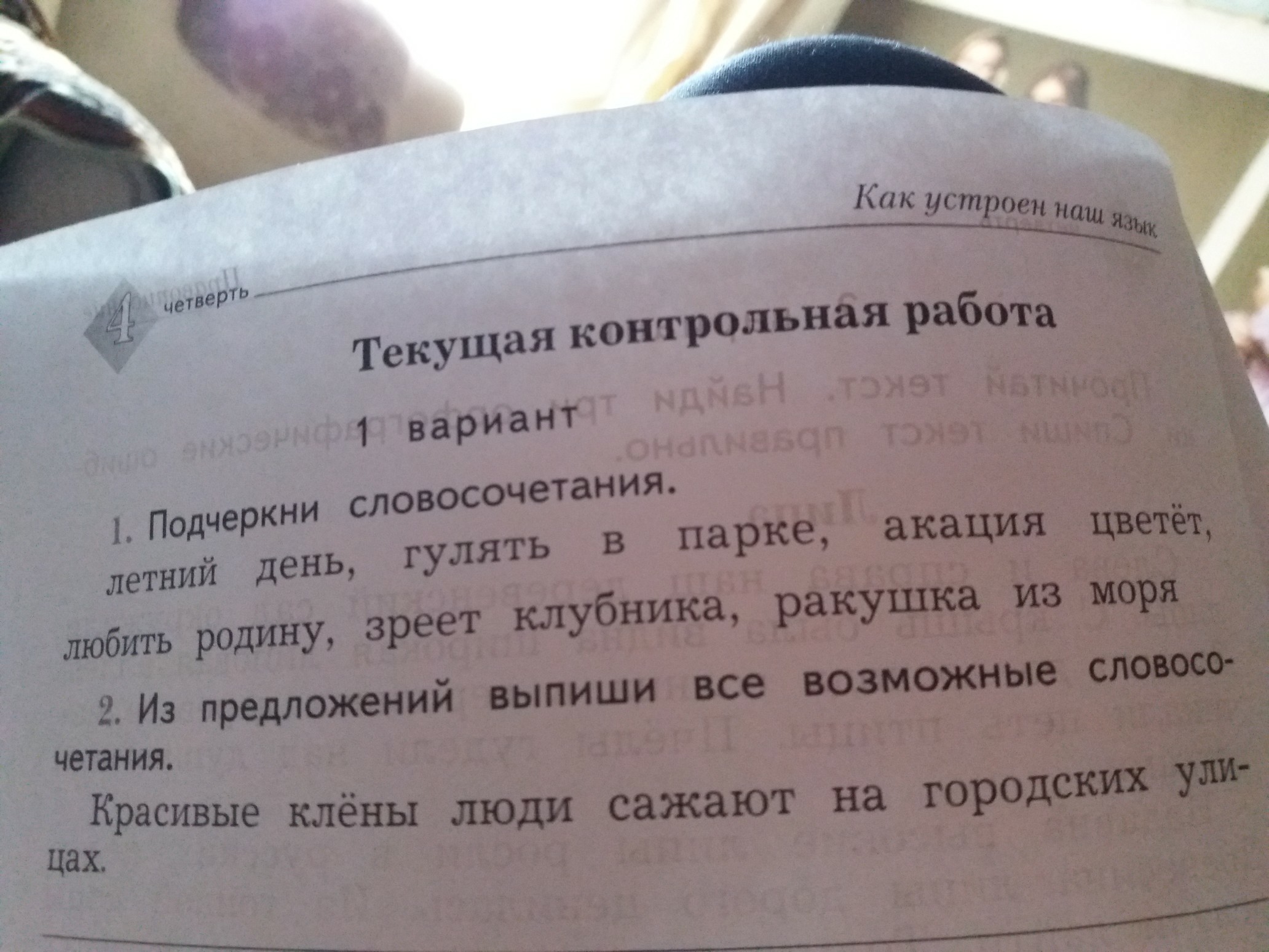 Словосочетание парк. Подчеркни словосочетания летний день гулять в парке. Подчеркни словосочетания. Подчеркни словосочетания гулять в парке. Словосочетание гулять в парке.