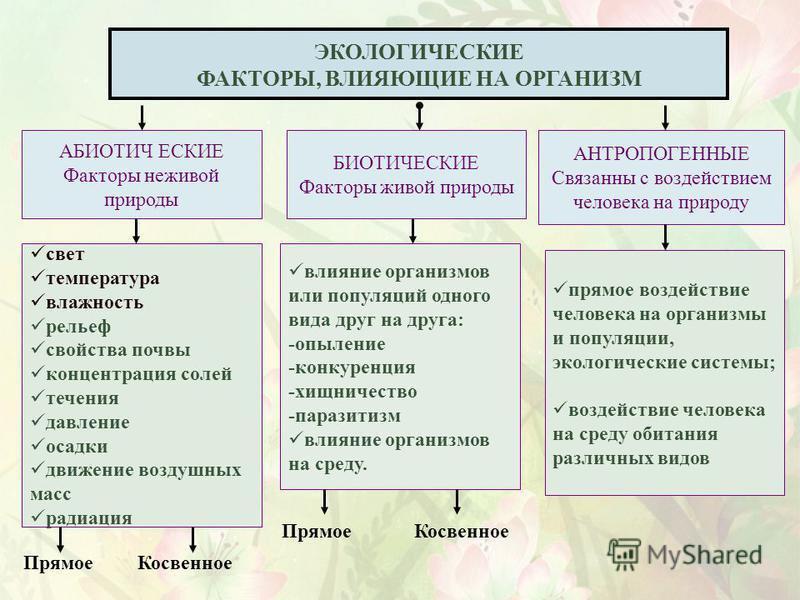 Какие условия внешней. Факторы среды влияющие на живые организмы. Биотические экологические факторы примеры. Биотические и абиотические факторы среды. Влияние экологических факторов на живые организмы.