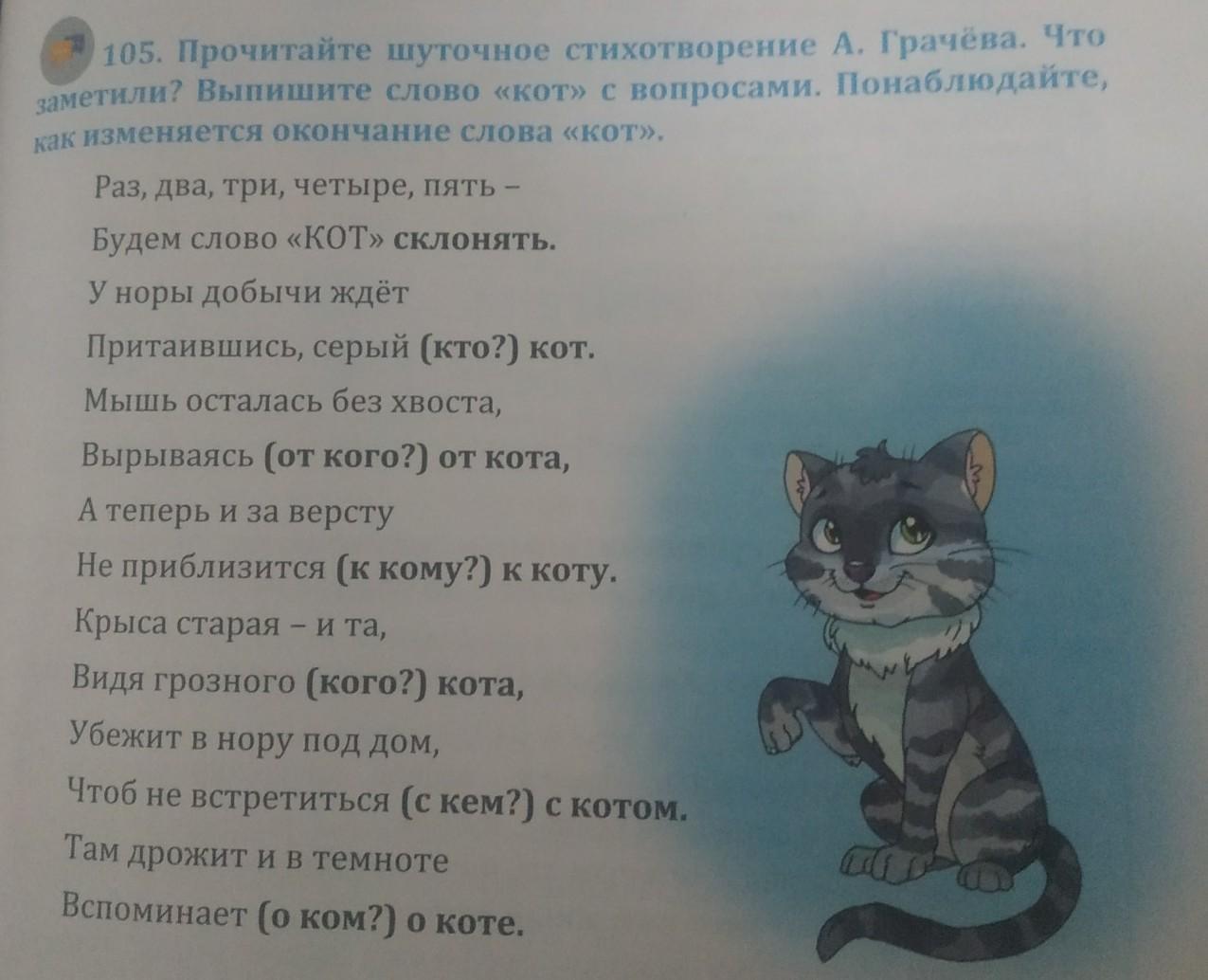 Кот текст