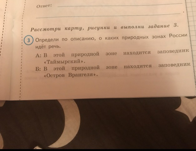 В задание идет речь