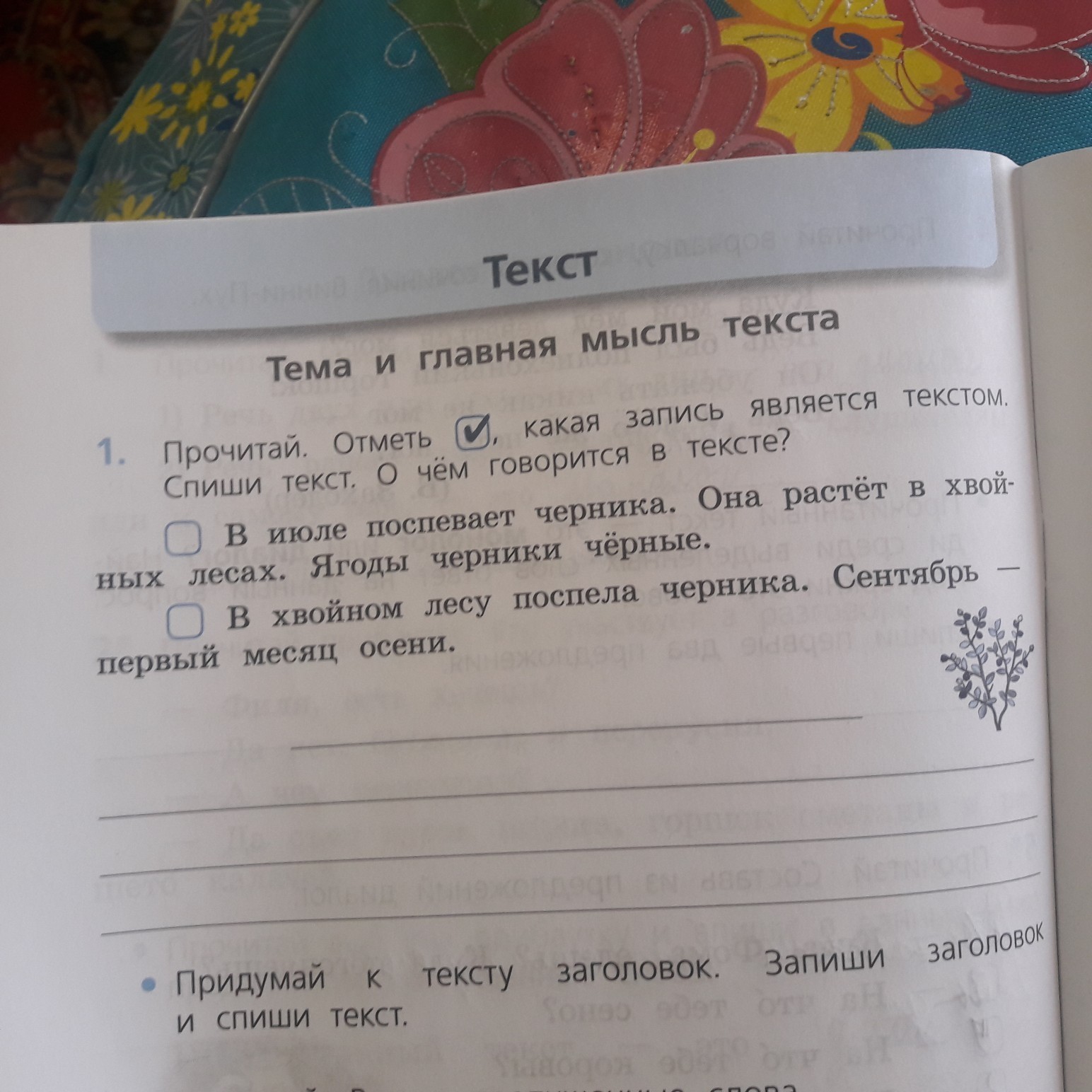 Спиши отметь. Какая запись является текстом 2 класс. Прочитай и отметь. Тема и Главная мысль текста в июле поспевает черника. Определи какая запись является текстом.