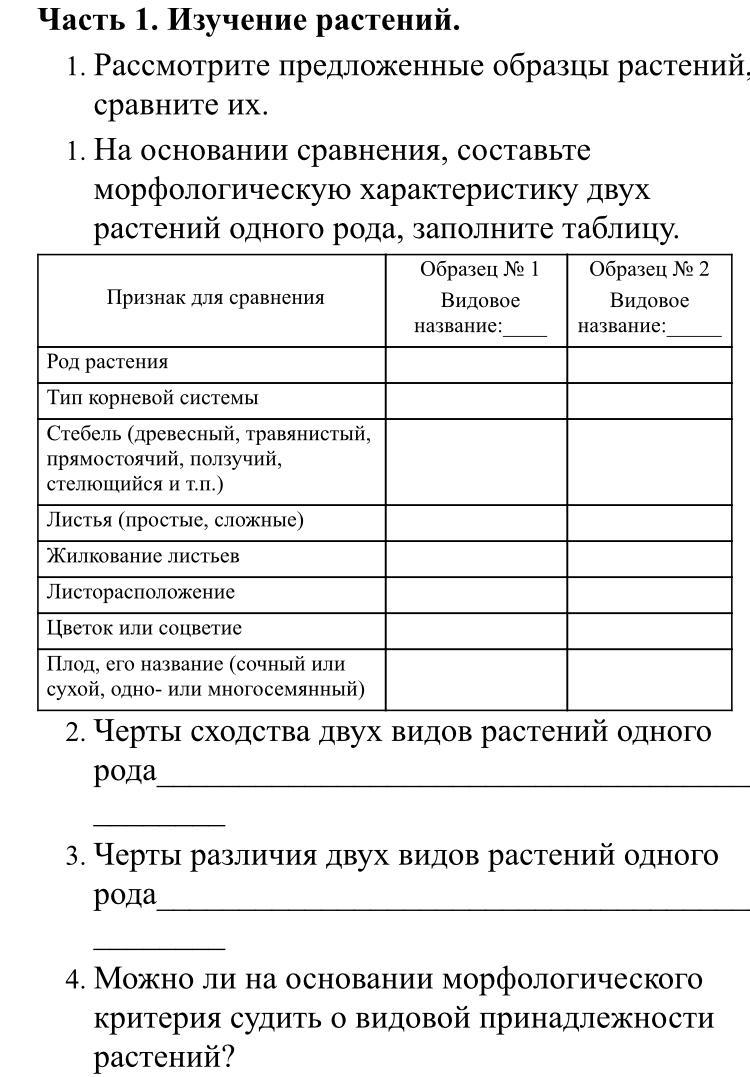 Образец для сравнения