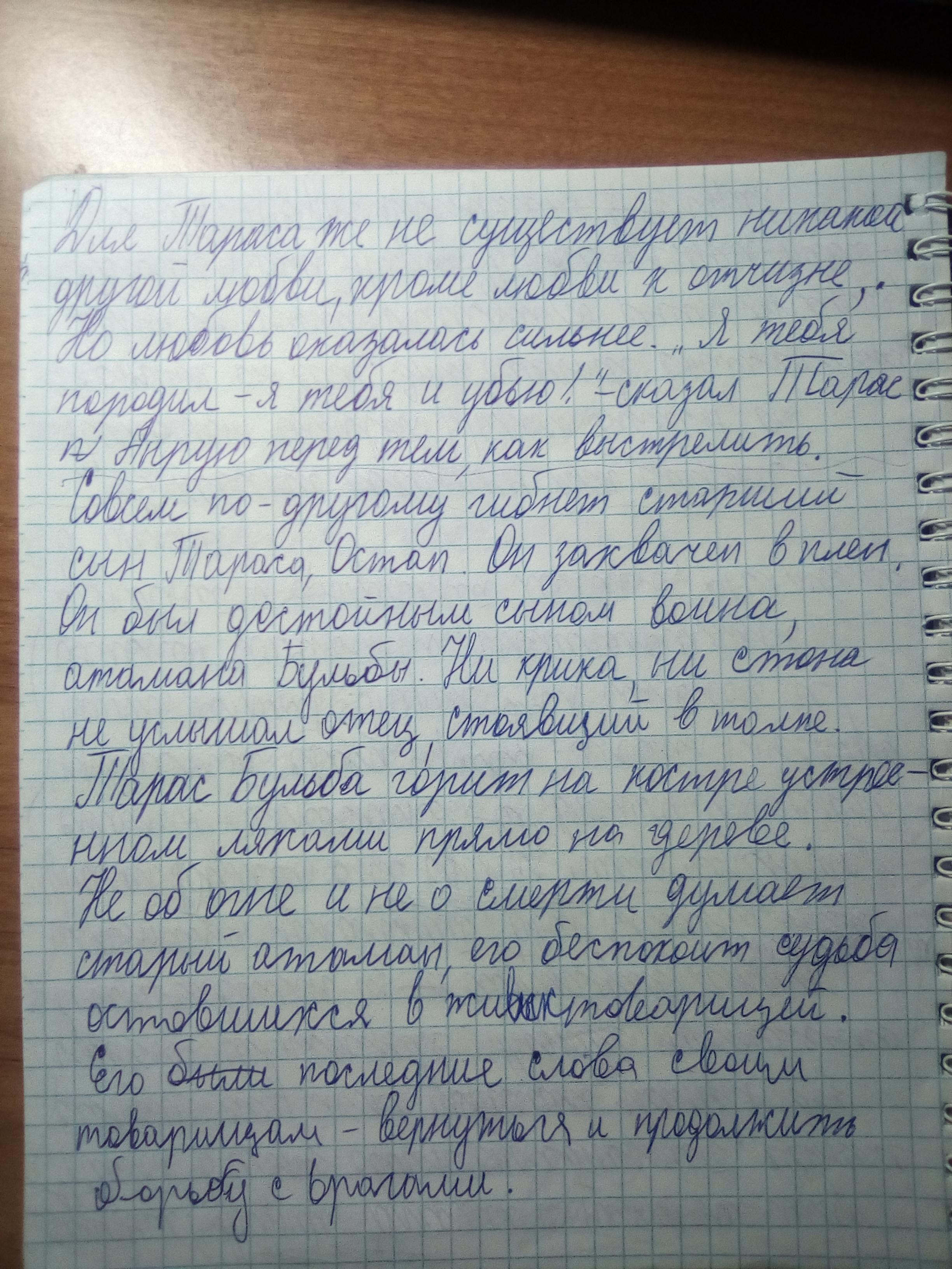 Тарас бульба народный герой сочинение 7 класс по плану