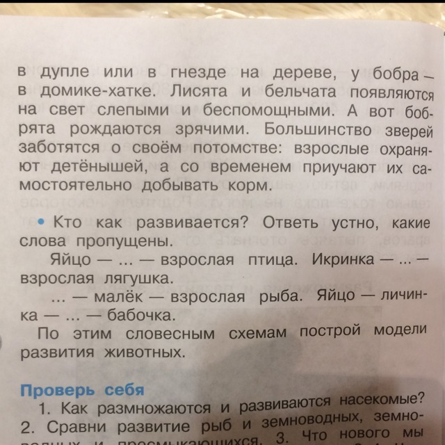 100 точек текст. Вместо точек вставь нужное слово. Вместо точек вставь сравнения. 81 Вставьте вместо точек нужный термин.