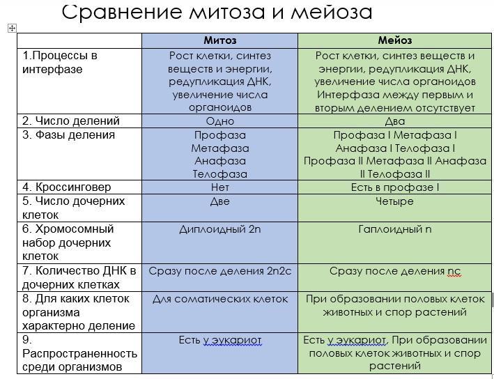 Рассмотрите рисунок 93 и таблицу 1 учебника укажите в таблице черты сходства и различия процессов