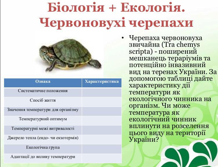 Температура черепахи. Систематичне положення черепахи червоновухої звичайної. Гдз биологии 7 класс черепаха. Черепаха червоновуха звичайна Джерело тепла ендо- чи екзотермія.